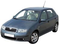 pièces détachées de carrosserie pour SKODA FABIA (1) DE 08/2004 A 09/2007