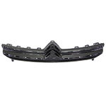 Grille de calandre, noire