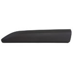Moulure de porte avant gauche, noire