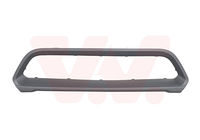 Enjoliveur grille de pare-chocs avant, gris