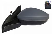 Rétroviseur gauche, complet, électrique, glace convexe, chauffant, à peindre, rabattable électriquement, avec clignotant, avec éclairage au sol, LED, 10 pins