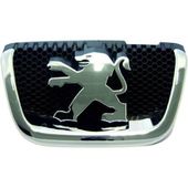Motif Peugeot 407 OEM 7810K8