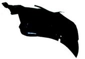 Pare Boue Renault Kangoo OEM 8200436709