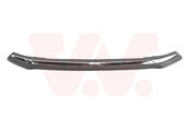 Moulure Inférieure Toyota Rav-4 OEM 5271142040