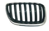 Grille Bmw X5 OEM 51137113733