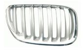 Grille Bmw X5 OEM 51137124815