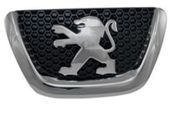Motif Peugeot 307 OEM 7810P7